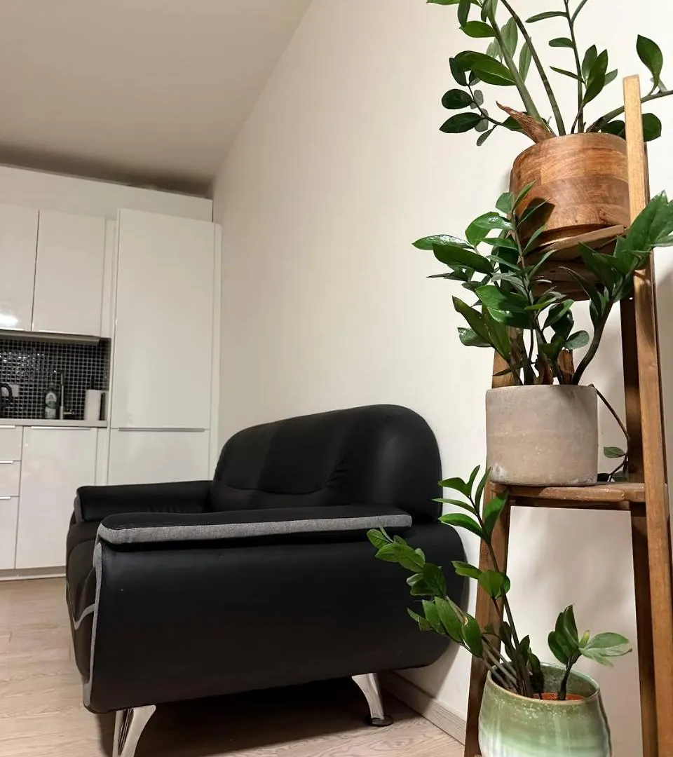 Cozy Studio Near City Centre Prague